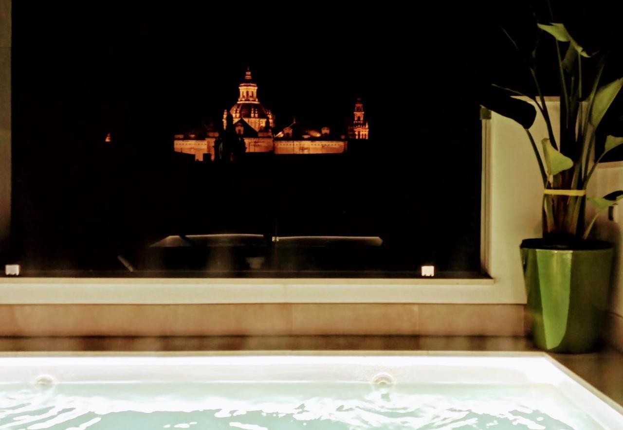 Apartament Luxury Penthouse With Private Pool Setas Monument *